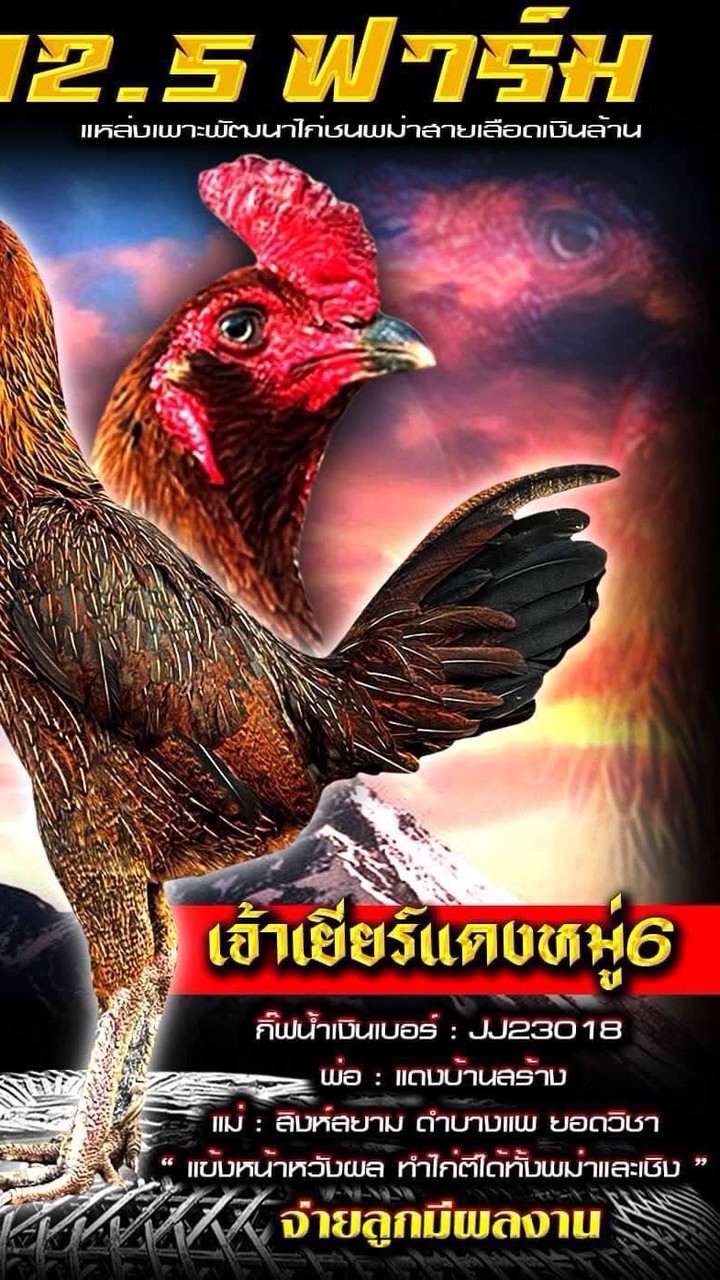 Pm.2.5ฟาร์ม