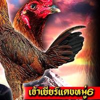 Pm.2.5ฟาร์ม