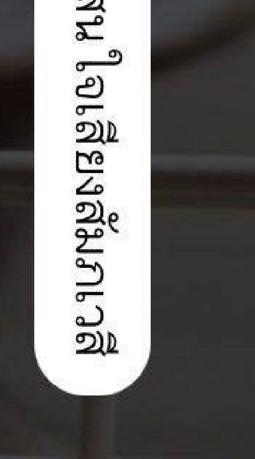 สแควร์ลับ สำหรับตระกูลQนาง...Q