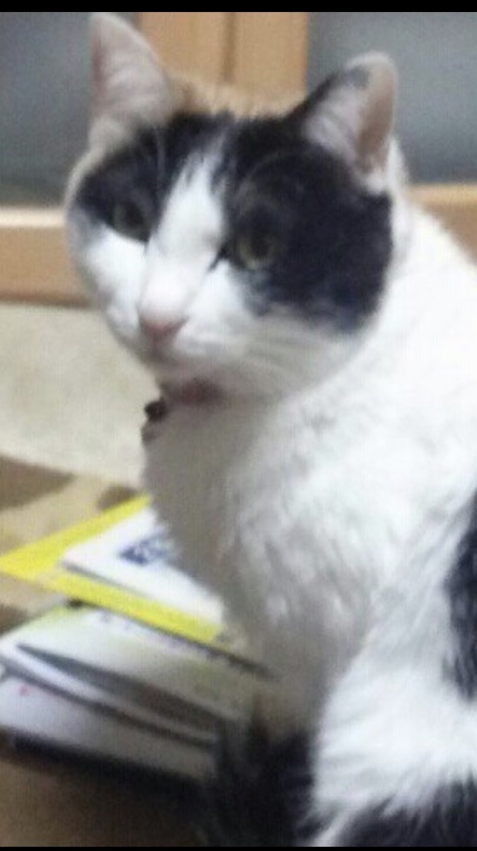 串八珍、、、最高！