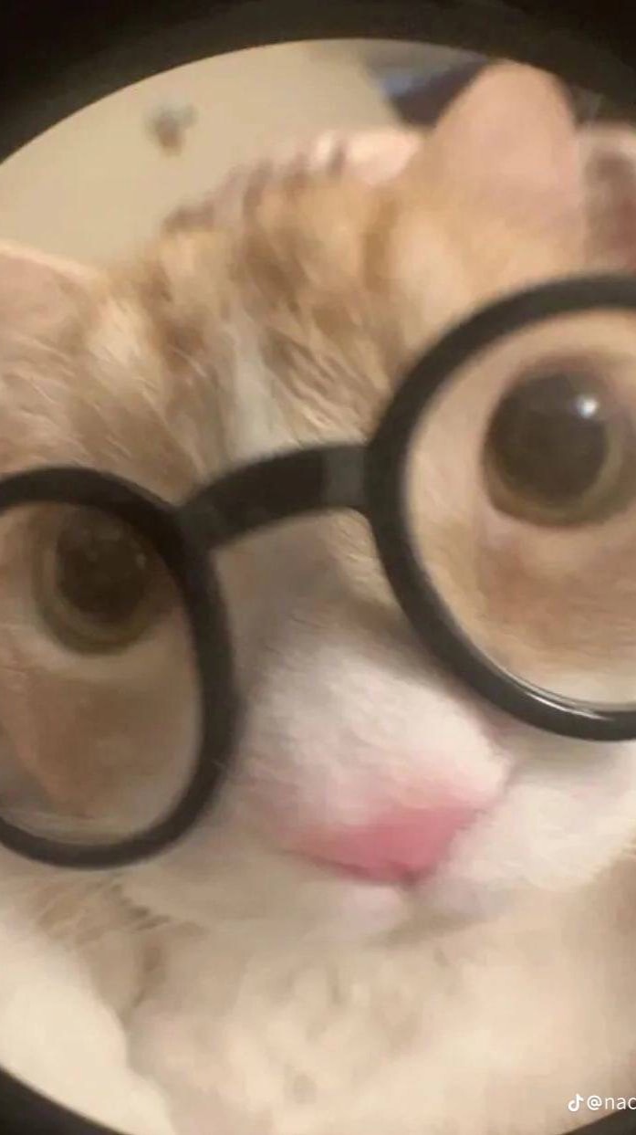 เหงาๆ