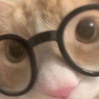 เหงาๆ