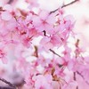 ①障害者交流室１号室