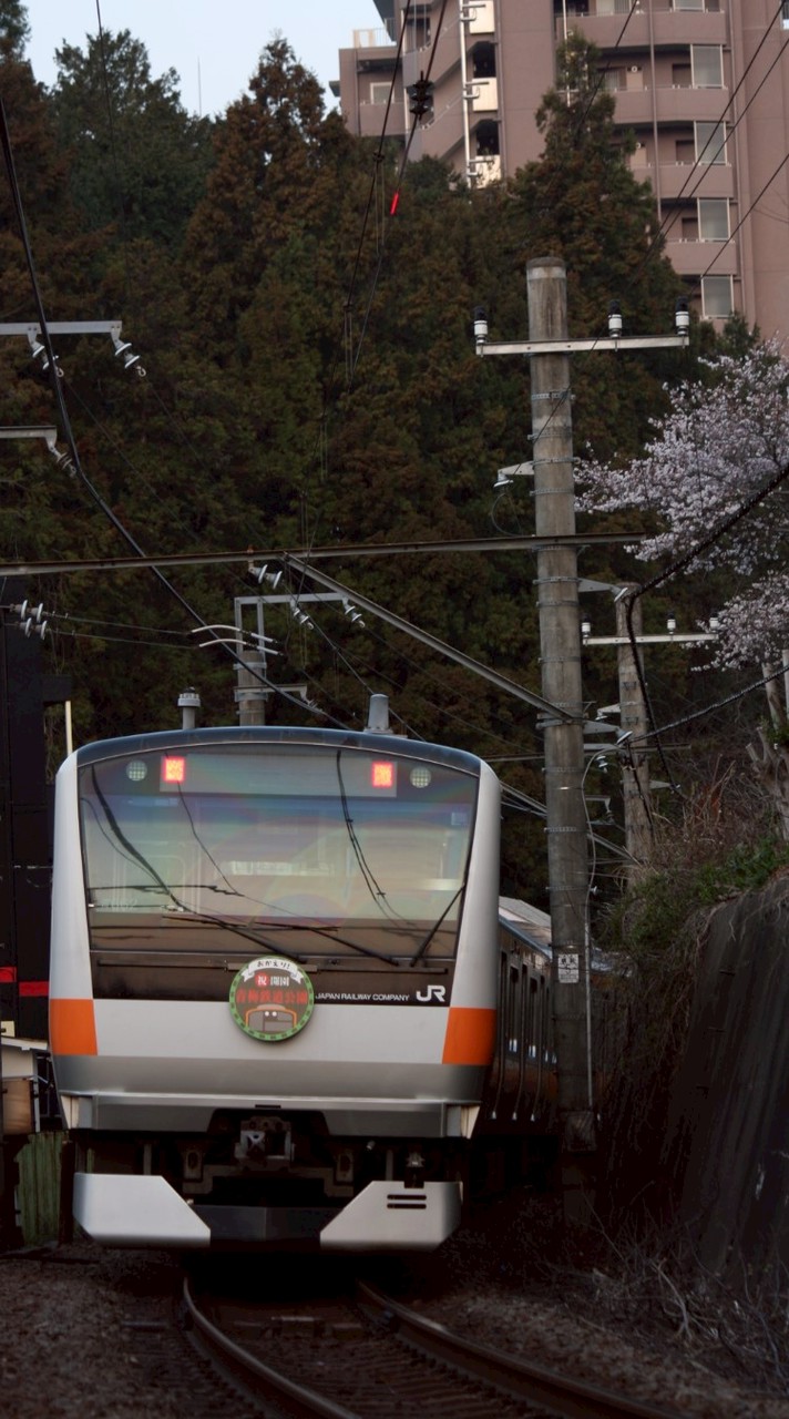 [TimeTreeあり]スジ公開あり・ 鉄道雑談
