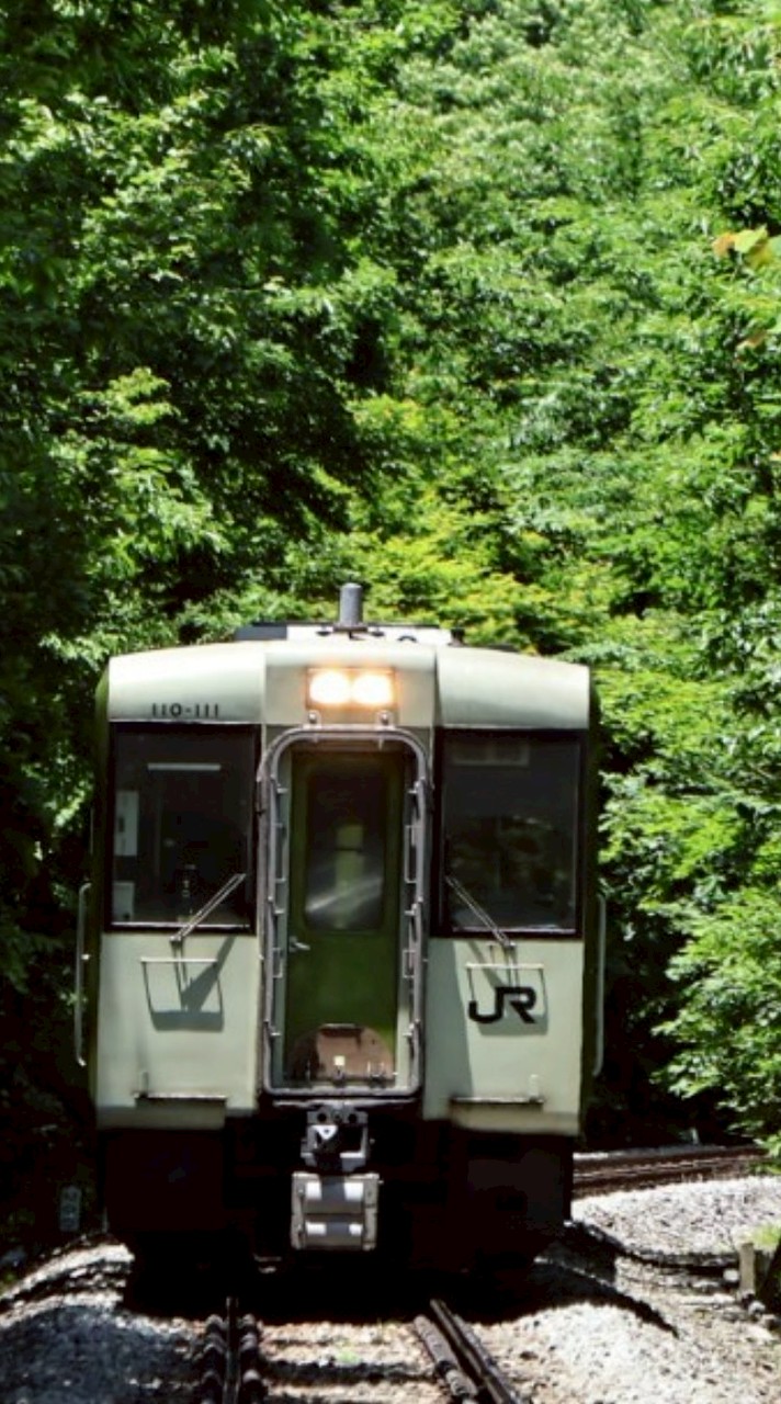 [TimeTreeあり]鉄道雑談・スジ公開(カツスジもあるよ)