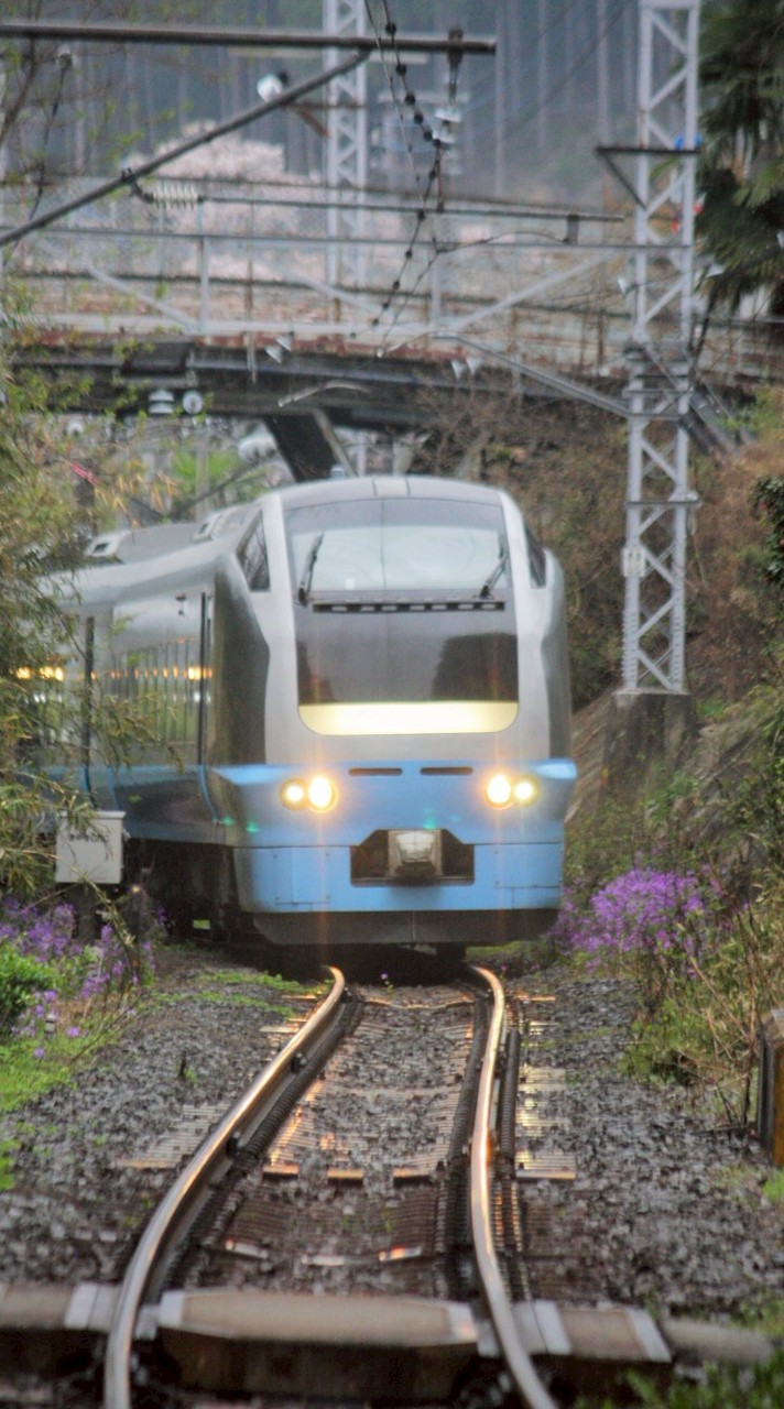 [TimeTreeあり]鉄道雑談・スジ公開(カツスジもあるよ)