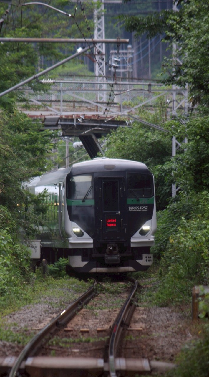 [TimeTreeあり]鉄道雑談・スジ公開(カツスジもあるよ)