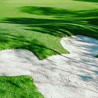 FALLING IN Golf🏌🏻‍♀️女孩們下場囉⛳️女子高爾夫