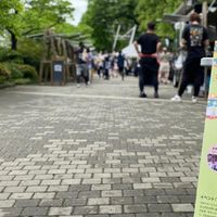第三弾ササハタハツファームベータ