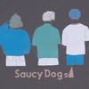 saucy dog‼️