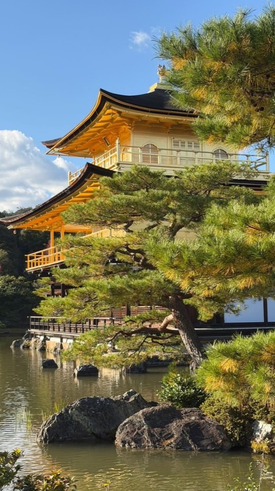 知識・つながる・未来へＳ✌🏻