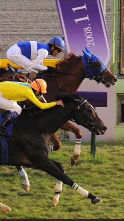 fumi競馬のオープンチャット