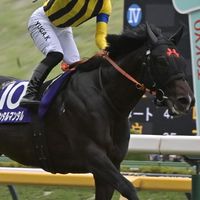 【安田記念】競馬雑談(予想等)