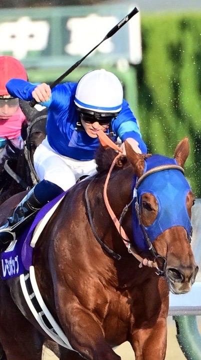 【チャンピオンズC/ステイヤーズS/鳴尾記念】競馬雑談(予想等)