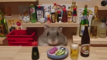 超療癒居酒屋！誰能抵抗「萌」度破表的吧台服務人員