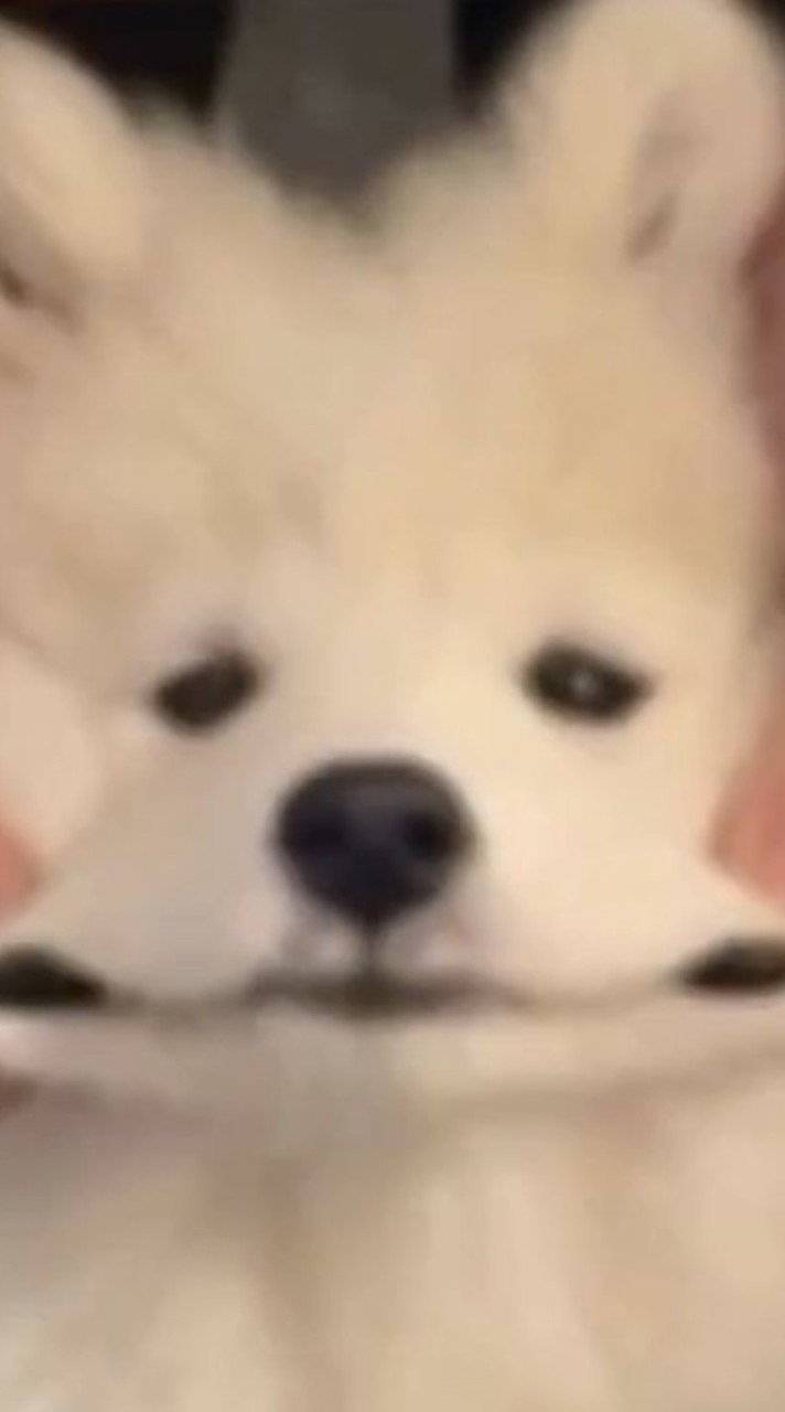 จุ๊กกรู้วๆ