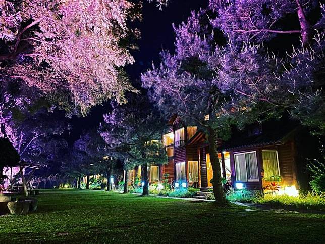 圖片授權：IG @samedaymemory、mikeshooooot