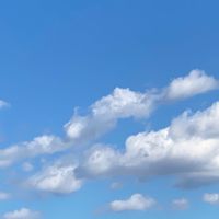 楽しい定年後生活を語る会