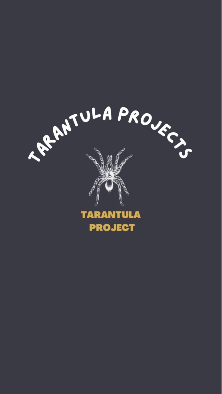 คนเลี้ยงแมงมุม ทารันทุล่า Tarantula Loves Thailand