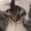 みんな友達‼️