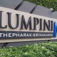 ของกินลุมพีนี มิกซ์ ศรีนครินทร์ LPN