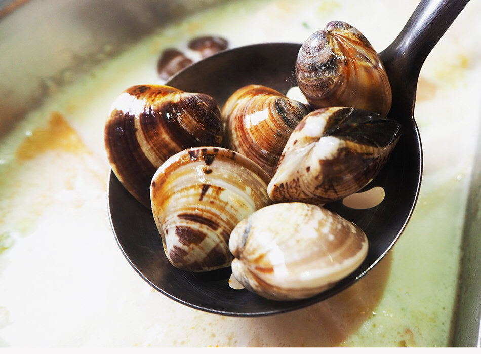 中和國賓影城,環球電影院,環球國賓,板橋國賓,環球接駁車,環狀線美食,環狀線板橋,新埔吃到飽,新埔站美食,新埔站寵物友善,中和海鮮鍋