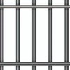 オリキャラ 女子刑務所