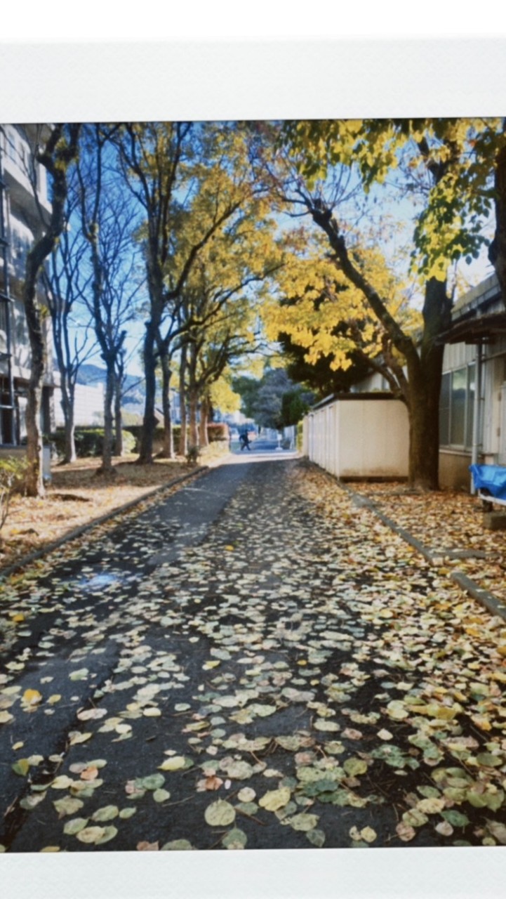 長崎大學台灣幫
