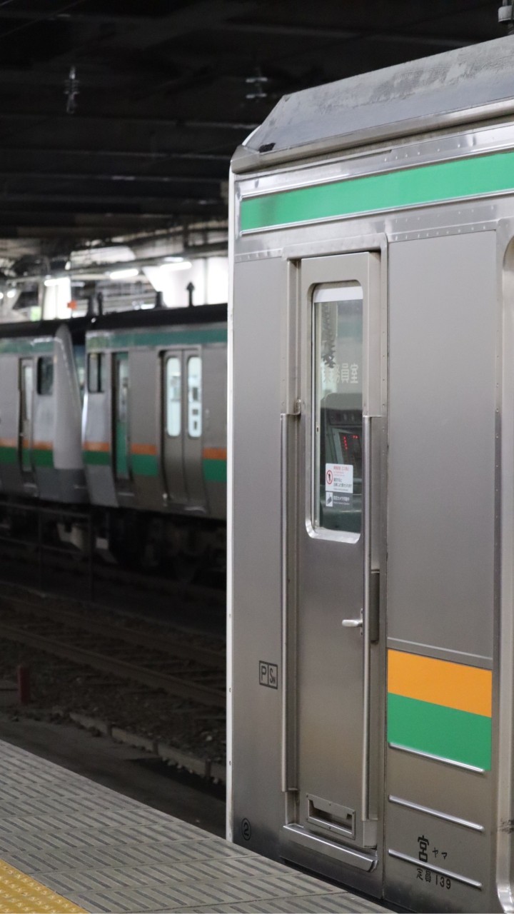 東日本のスジ・月報・在線