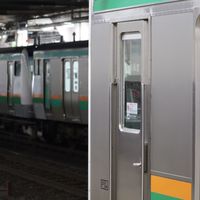 東日本のスジ・月報・在線