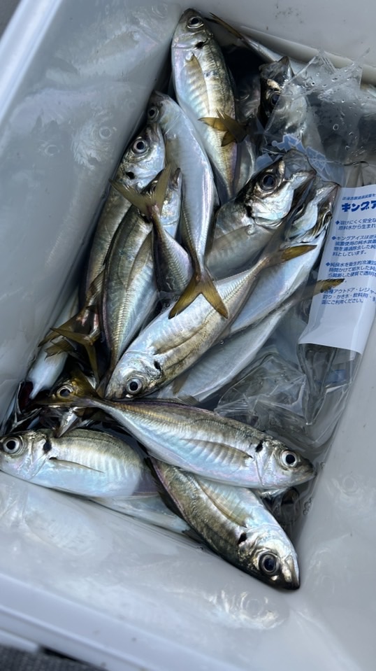 そいや　釣り同好会