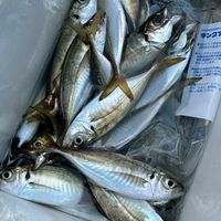 そいや　釣り同好会