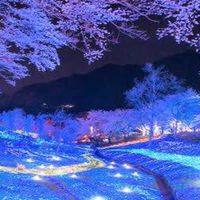 暇な人集まれ！(小学生~~~大人まで)暇人！のサブ❕