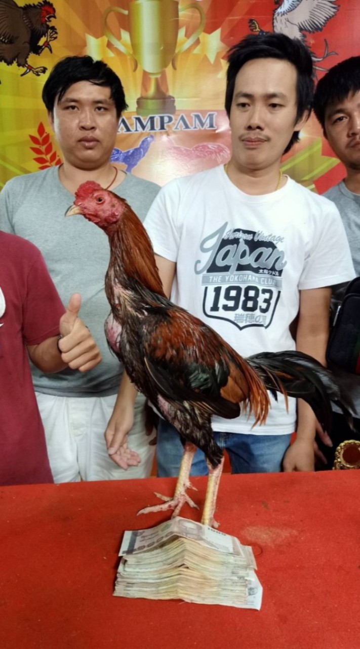 ช.รัชชานนท์(ไลน์ประมูล)