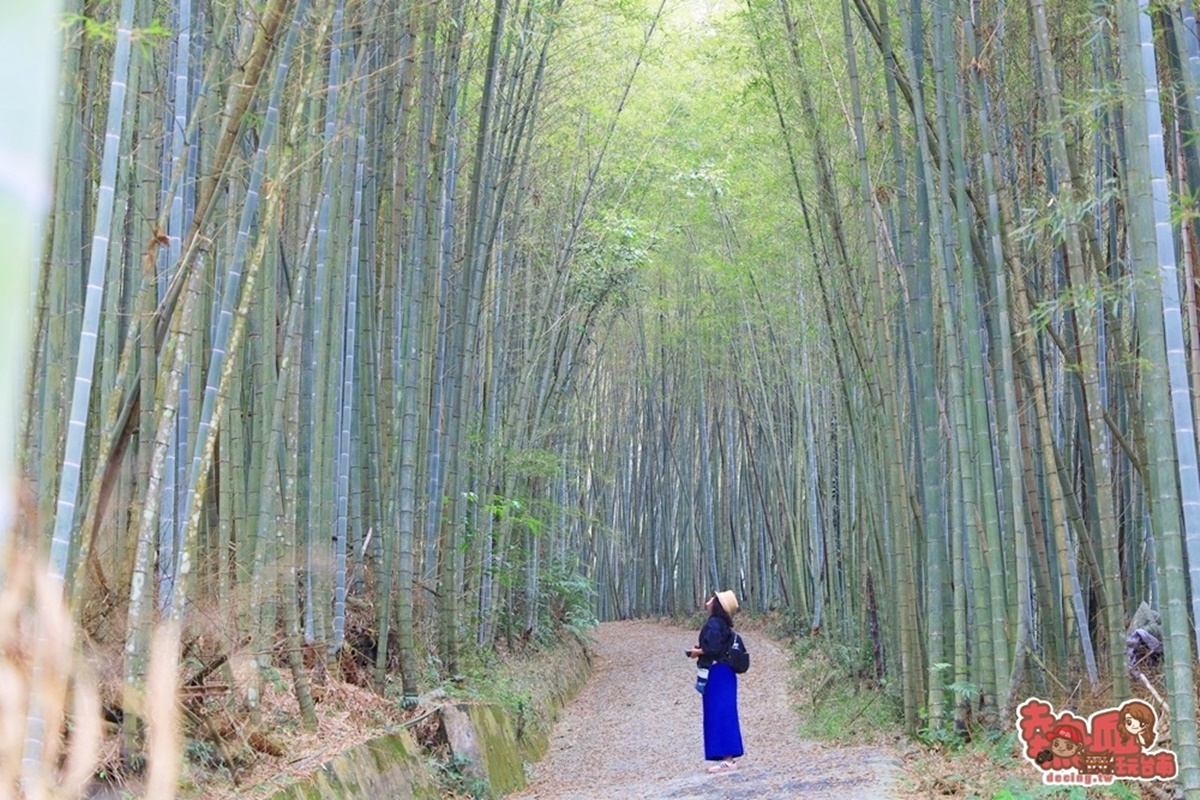 別只去阿里山！嘉義梅山12大祕境：最美茶園步道、台版九寨溝、海拔最高吊橋