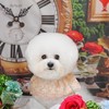 えっぽんちゃんねる