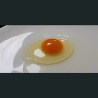 員林蛋行10