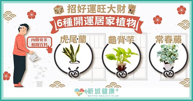農曆新年21 想招好運旺大財 6種開運居家植物你要知 新城健康 Line Today