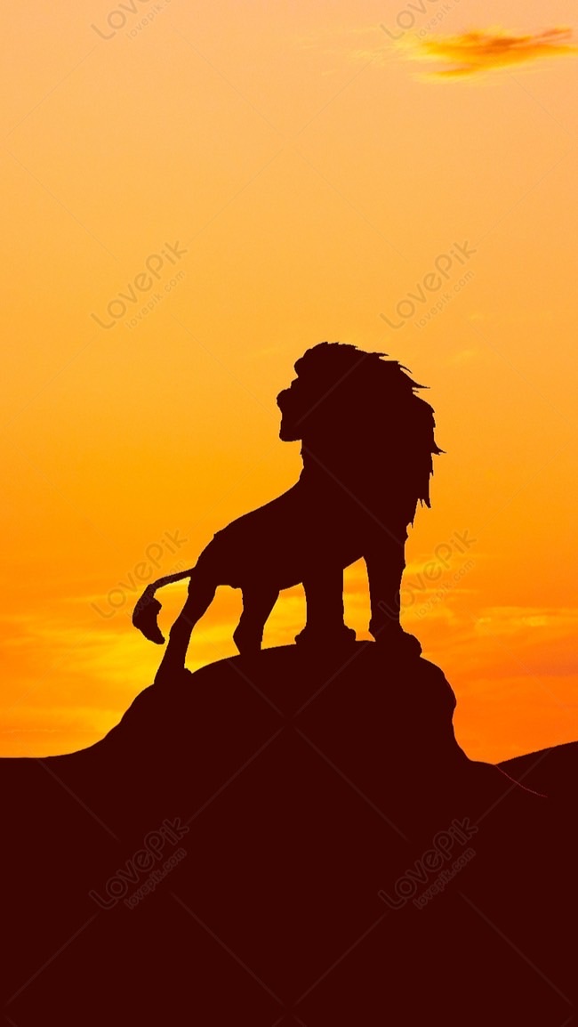 獅王批發🦁