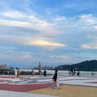 動物森友會