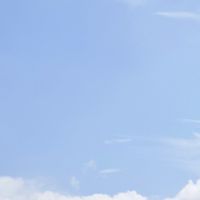 25秋004班⭐