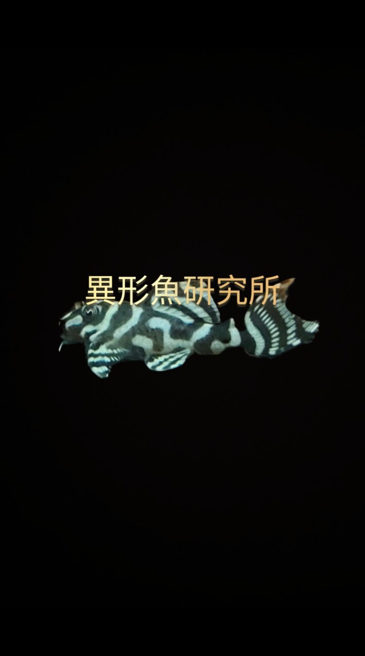 異形魚研究所