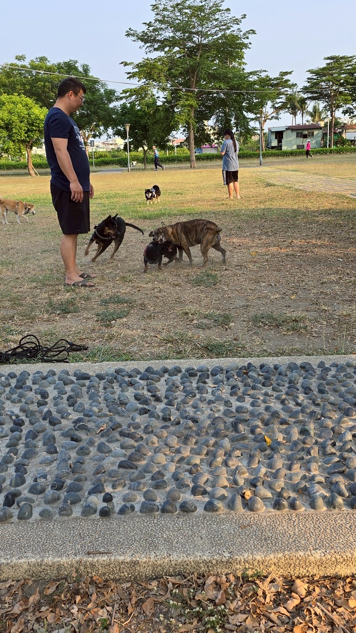 天天公園狗朋朋🐶天天開心🥰