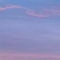 雑談、恋バナしよー（ライトもするかも！）