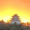フォートナイトリロード勢一緒にしよう！