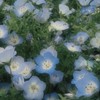 生活音投稿room🌷