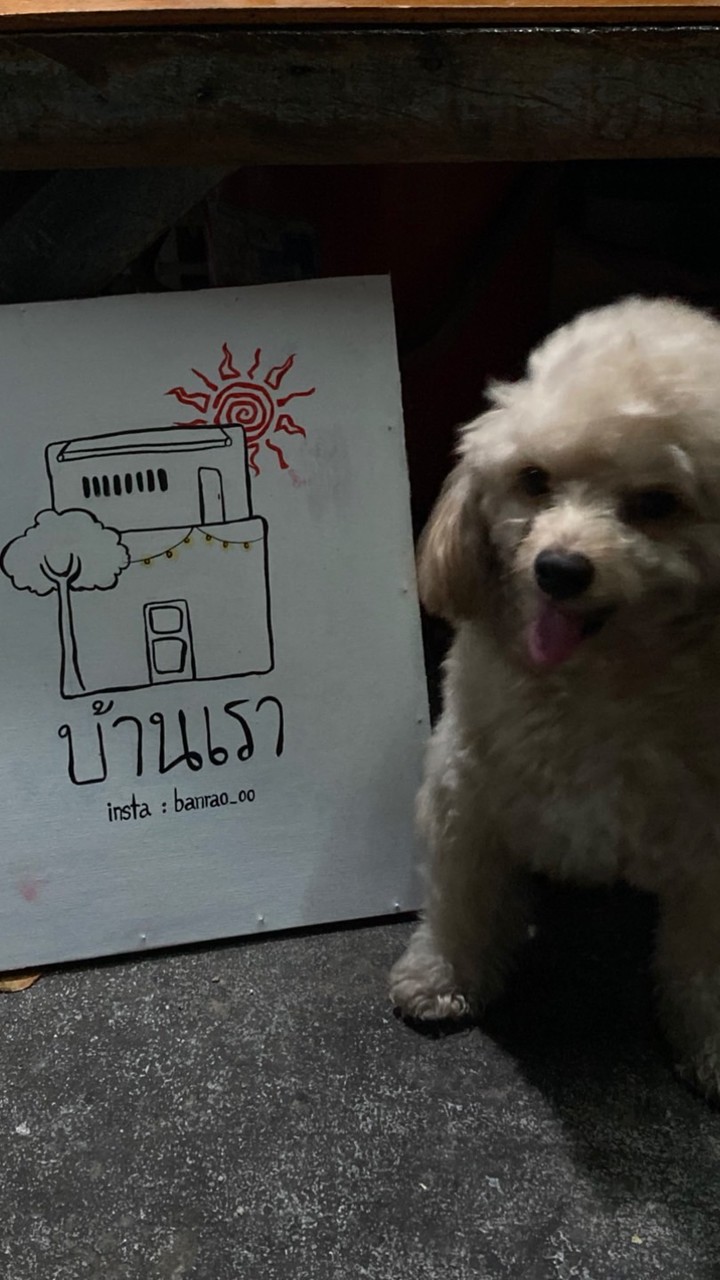 แจ้งเวลาไลฟ์+รอบส่ง(เลขพัสดุ)♥️♥️