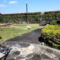 女力球報到