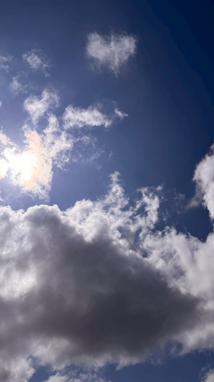 美術大好きな人カモン‼︎