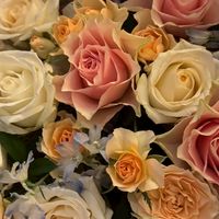 まいまい🌹🦋配信用！発言禁止⚠️